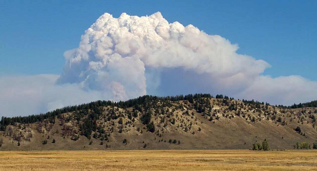 Wildfire smoke rising over a remote hillside